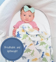 LollyBanks Rawr-Some Baby Muslin Cotton Blanket