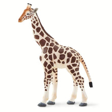 Safari Ltd - Giraffe