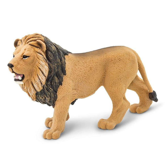 Safari Ltd - Lion