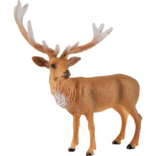 Animal Quest 8 Piece Display - Hooved Mammals 1 Figurines
