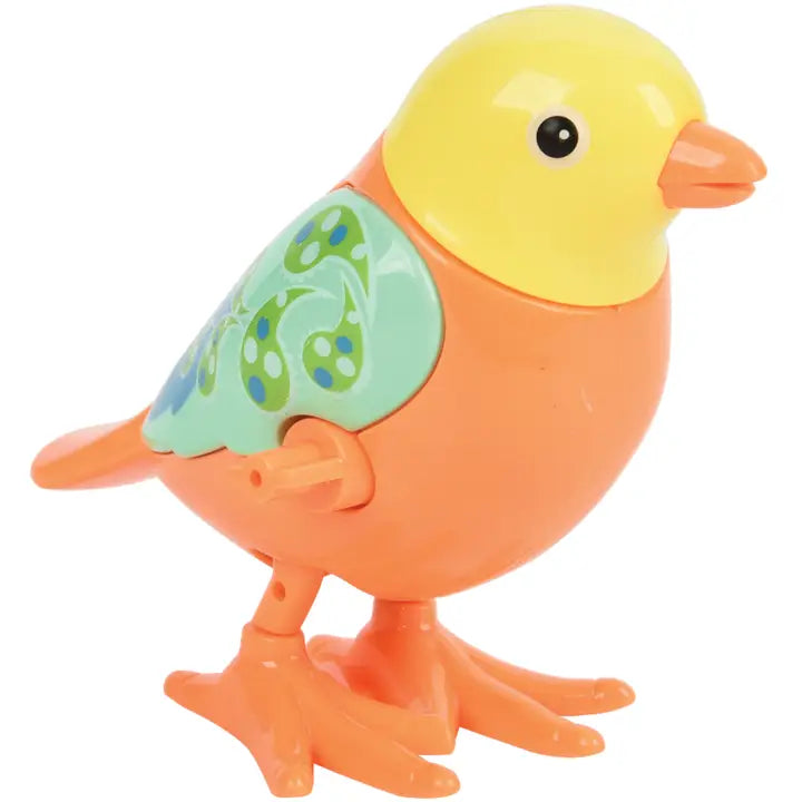 Wind Up Birds