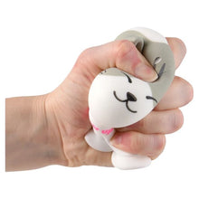 Such Fun Suction Squish Cat