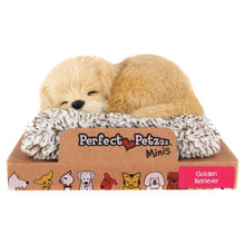 Mini Perfect Petzzz