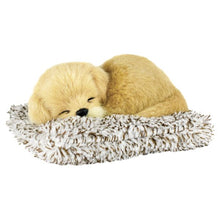 Mini Perfect Petzzz