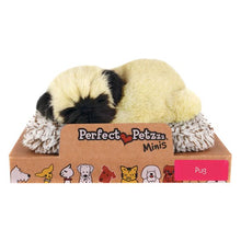 Mini Perfect Petzzz