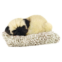 Mini Perfect Petzzz