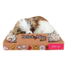 Mini Perfect Petzzz