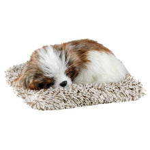 Mini Perfect Petzzz