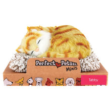 Mini Perfect Petzzz