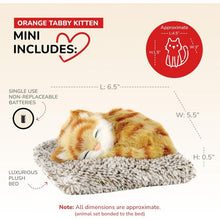 Mini Perfect Petzzz