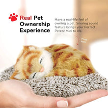 Mini Perfect Petzzz