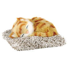 Mini Perfect Petzzz