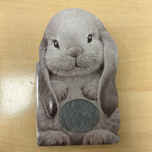 Furry Bunny Book