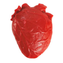 Toysmith- Tiny Toys - Teeny Tiny Vital Organ (Squishy Toy)