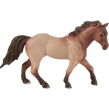 Animal Quest 8 Piece Display - Hooved Mammals 1 Figurines