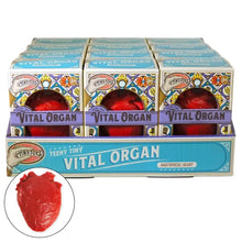 Toysmith- Tiny Toys - Teeny Tiny Vital Organ (Squishy Toy)