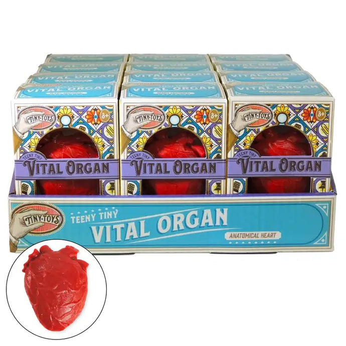 Toysmith- Tiny Toys - Teeny Tiny Vital Organ (Squishy Toy)