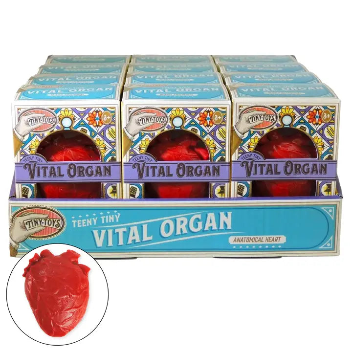 Toysmith- Tiny Toys - Teeny Tiny Vital Organ (Squishy Toy)