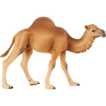 Animal Quest 8 Piece Display - Hooved Mammals 1 Figurines