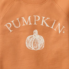 Burt's Bees Baby Pumpkin Organic Cotton Sweatshirt