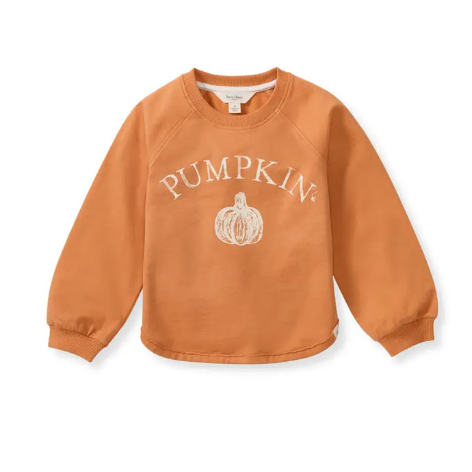 Burt's Bees Baby Pumpkin Organic Cotton Sweatshirt