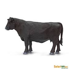 Safari Ltd - Angus Cow