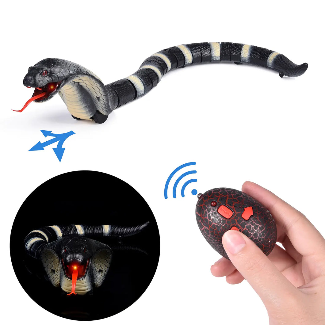 Fun Little Toys Remote Control Snake Toy Just For Babies Inc