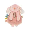 Itzy Ritzy Lovey w/ Silicone Teether - Ana the Bunny