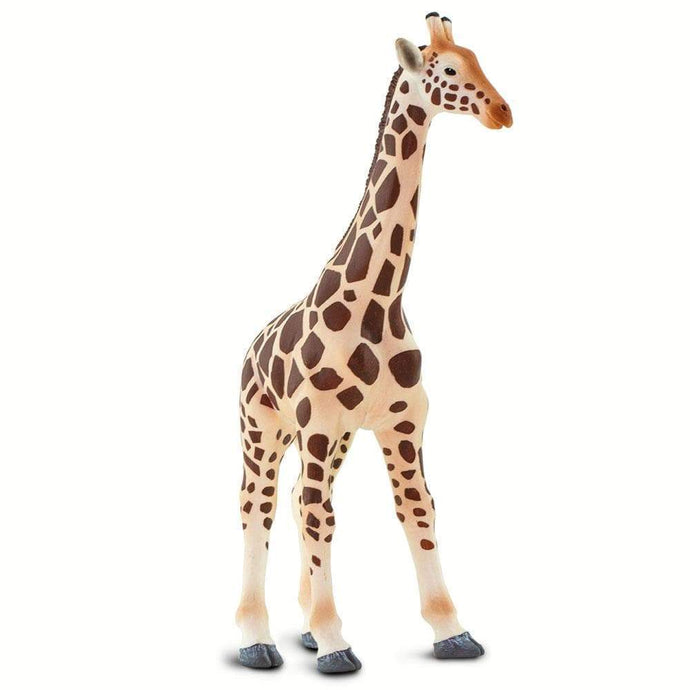 Safari Ltd - Giraffe